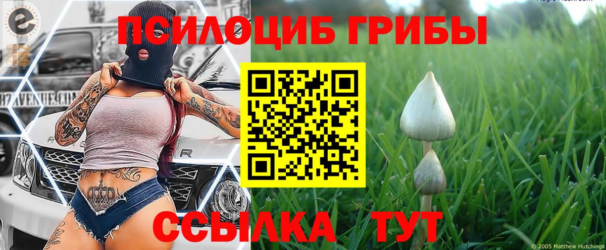 Псилоцибиновые грибы мухоморы Кумертау