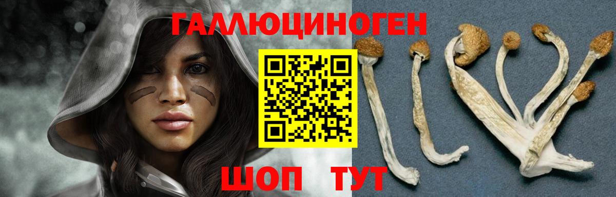Галлюциногенные грибы ЛСД  Галлюциногенные грибы GOLDEN TEACHER  Кумертау  Вход с VPN 